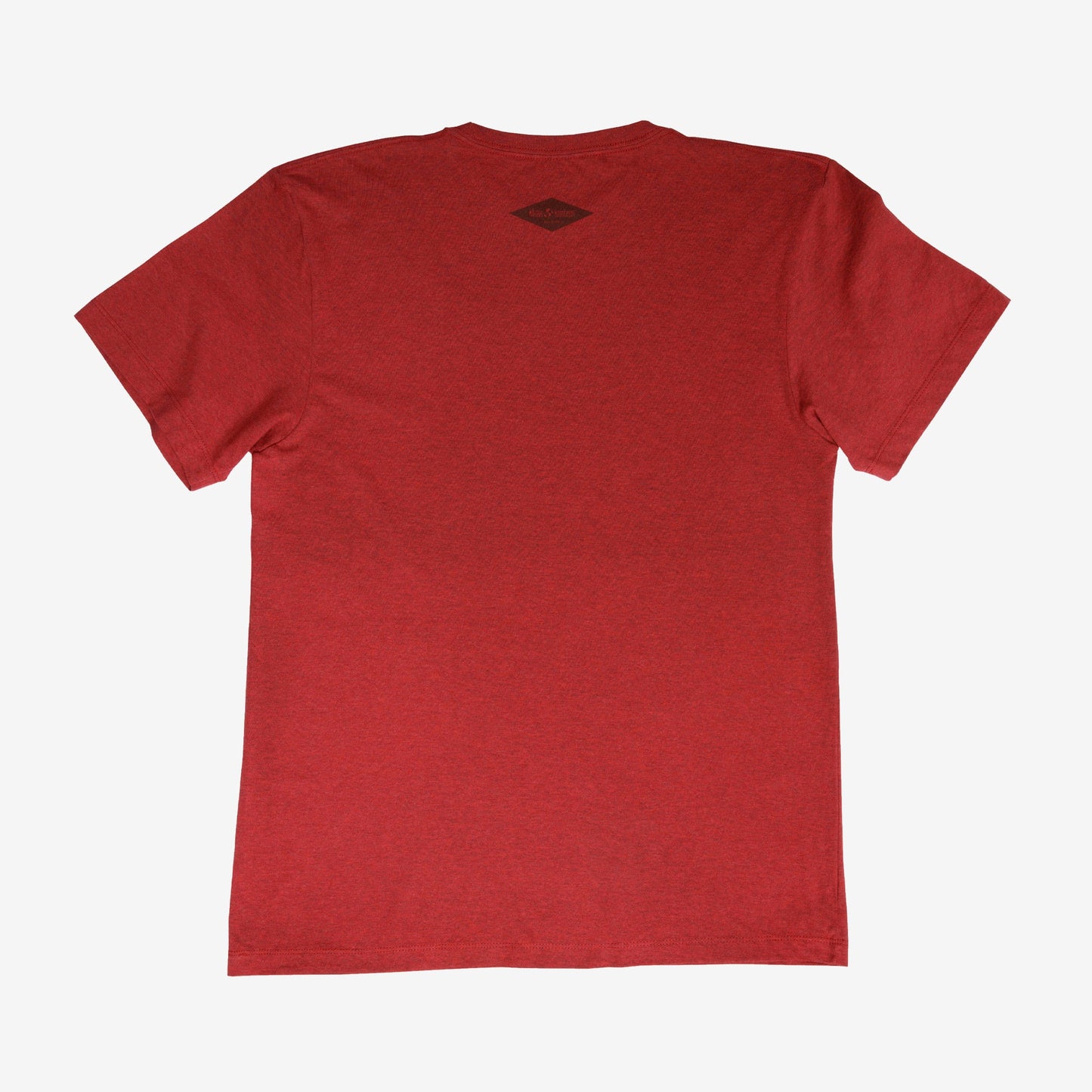 backyard-t-shirt-e3 Shirt_Mtn_Back.jpg