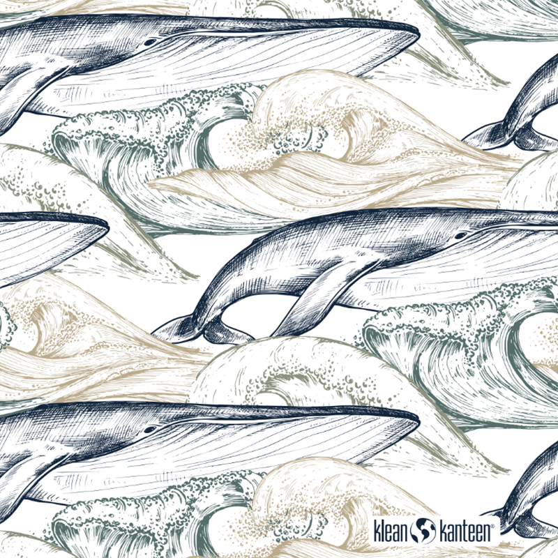 20oz-tkwide-with-twist-cap-ocean-day-z2 20oz_tkwide_bottle_seasonal_ocean_day_whale_artwork_square.png